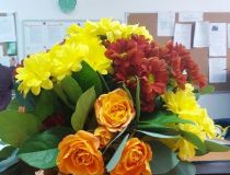 20161005_120952.jpg