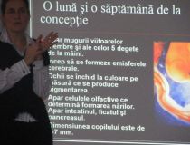 DSCF2404.jpg