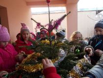 DSCN0335.JPG
