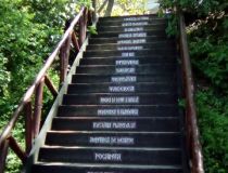 foto telefon 051.jpg