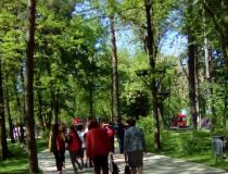 foto telefon 068.jpg