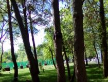 foto telefon 069.jpg