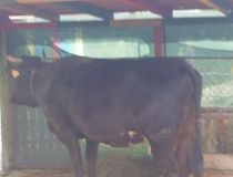 Facebook-20160503-044325.jpg